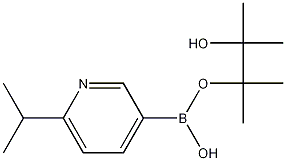 6-Isopropylpyridine-3-boronic acid pinacol ester